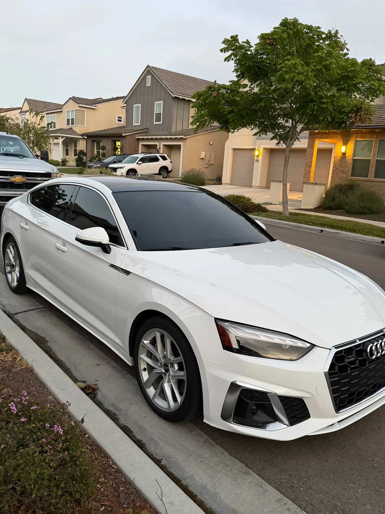 White Audi with dark windows parked along a residential street